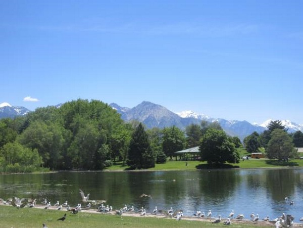 糖屋野生动物公园Sugar House Park